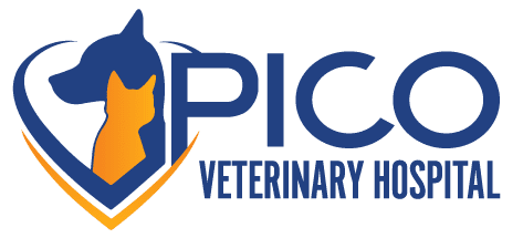 Pico Veterinary Hospital of San Clemente